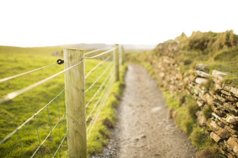 Benefits Of Prompt Fence Repair For Homeowners