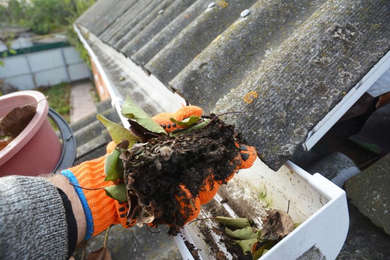 Common Problems Caused By Clogged Gutters
